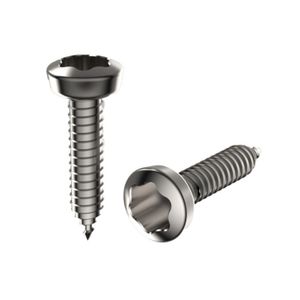 Surub autofiletant din inox 3.9x25 TX20 (100 BUC)